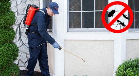 Çüngüş Gümüşkurt İlaçlama böcek ilaçlama ve haşere kontrolü — ilaclama-tr.com